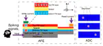 Magnetic Skyrmion-Based Neural Recording System Design for Brain Machine Interface