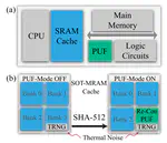 Reconfigurable and Dynamically Transformable In-Cache-MPUF System With True Randomness Based on the SOT-MRAM